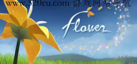 Flower 花